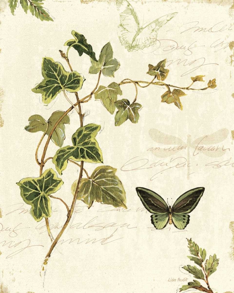 Art Print: Ivies and Ferns IV