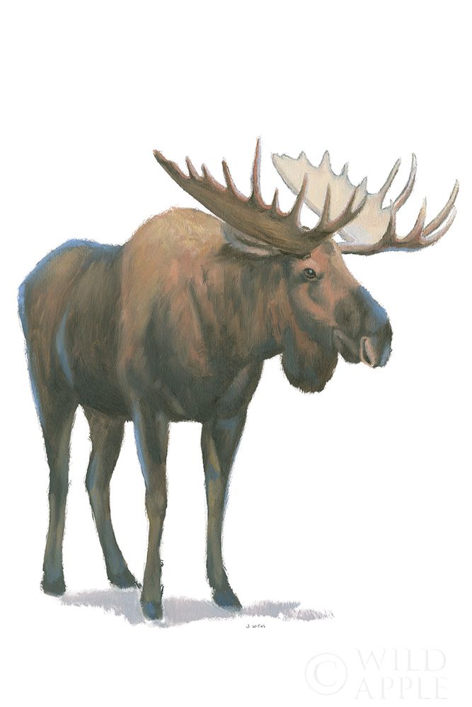 Similar wall art painting: 384441