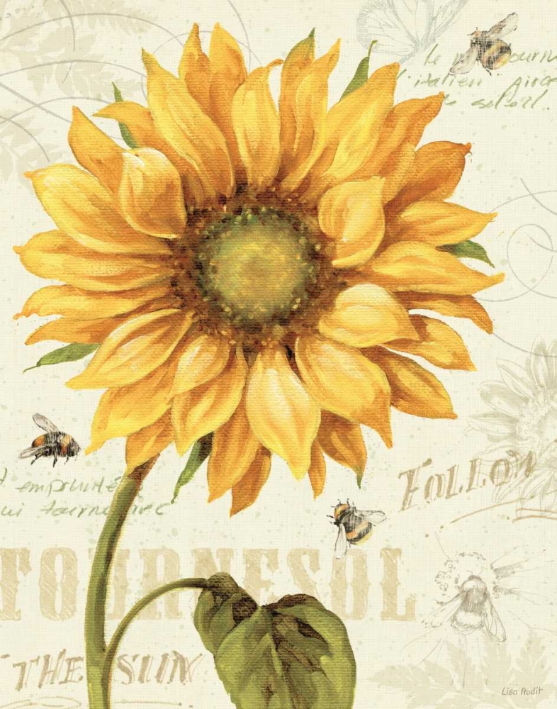 Wall Art Painting id:18579, Name: Under the Sun I, Artist: Audit, Lisa