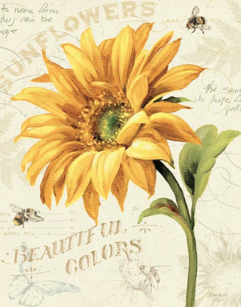 Wall art: Under the Sun II, by Audit, Lisa