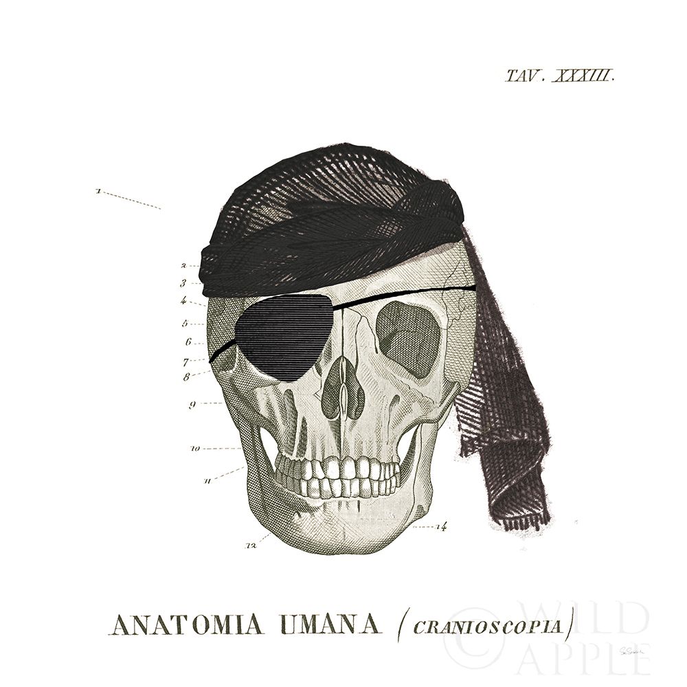 Art Print: Dandy Bones VI Pirate