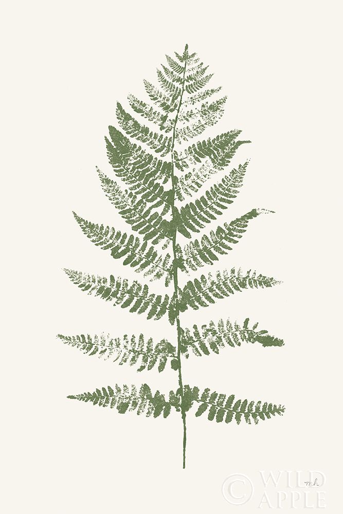 Art Print: Fern Print II White Crop