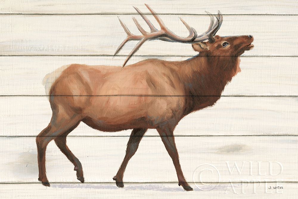Wall Art Painting id:396557, Name: Northern Wild III on Wood, Artist: Wiens, James