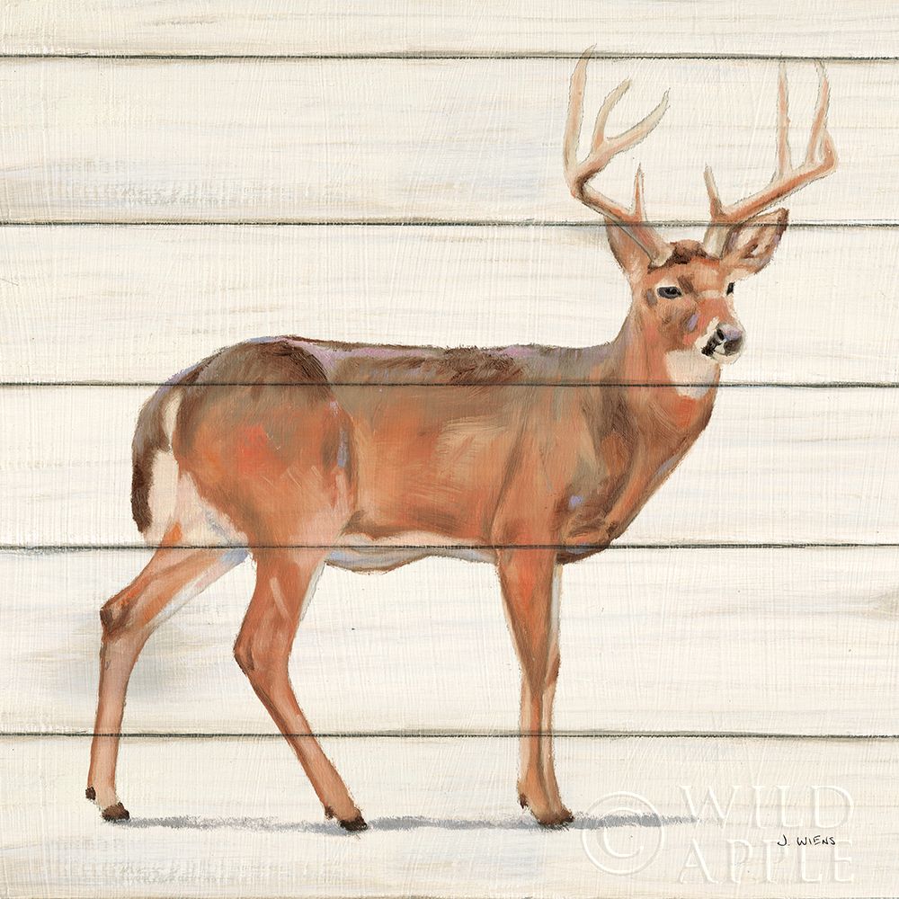 Wall Art Painting id:396555, Name: Northern Wild V on Wood, Artist: Wiens, James