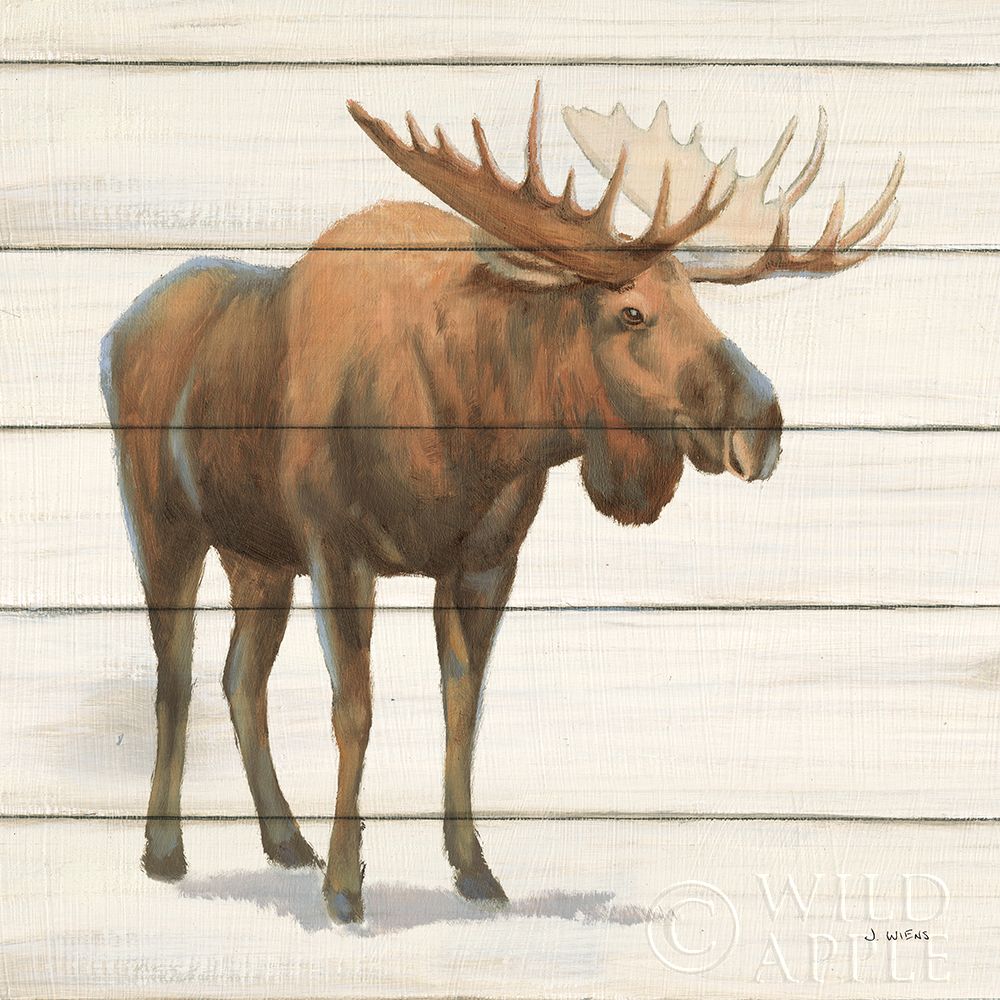 Wall Art Painting id:396554, Name: Northern Wild VI on Wood, Artist: Wiens, James