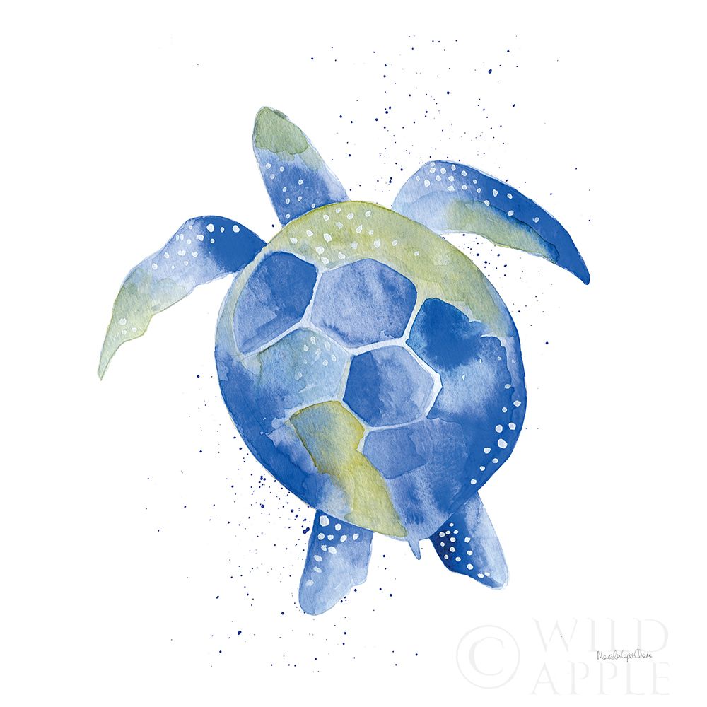 Art Print: Sea Turtle