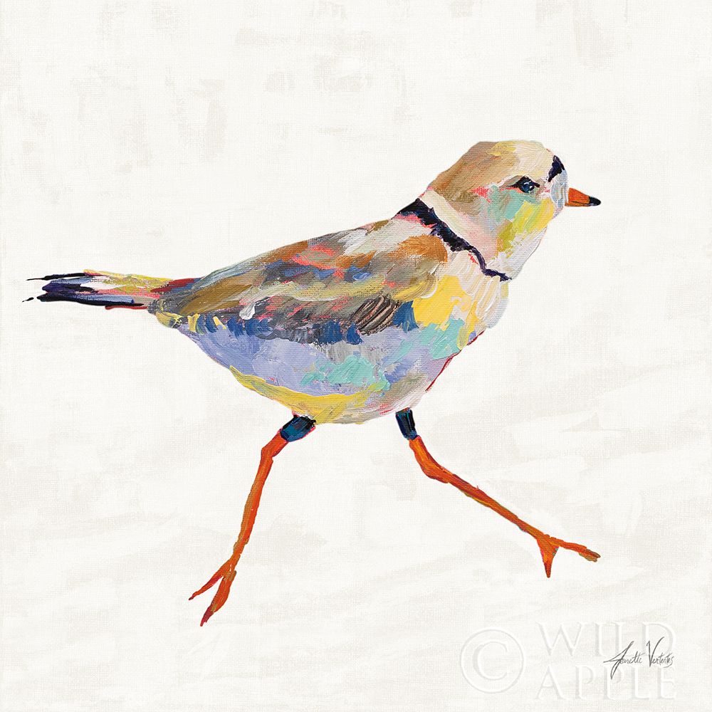 Art Print: Coastal Plover I Linen