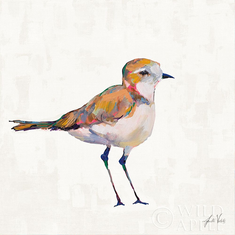 Art Print: Coastal Plover III Linen