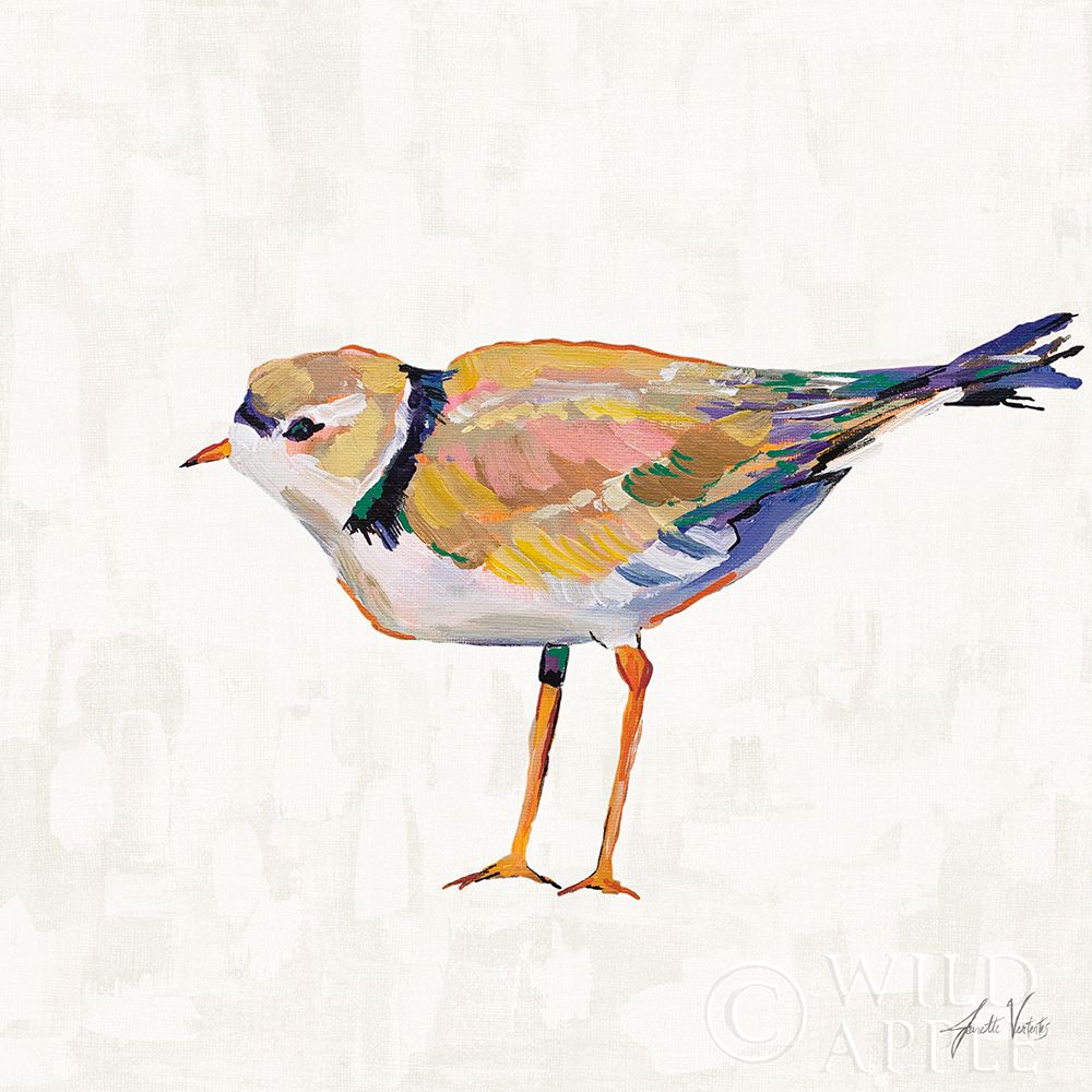 Art Print: Coastal Plover IV Linen