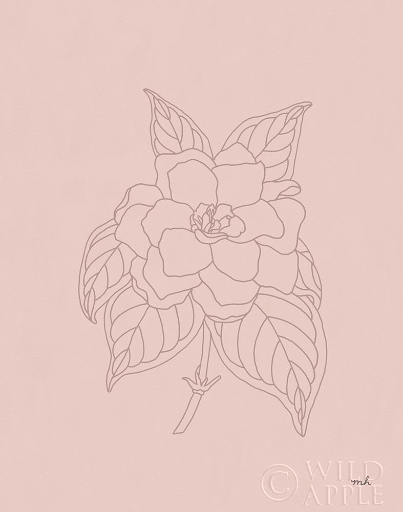 Art Print: Gardenia Line Drawing Pink