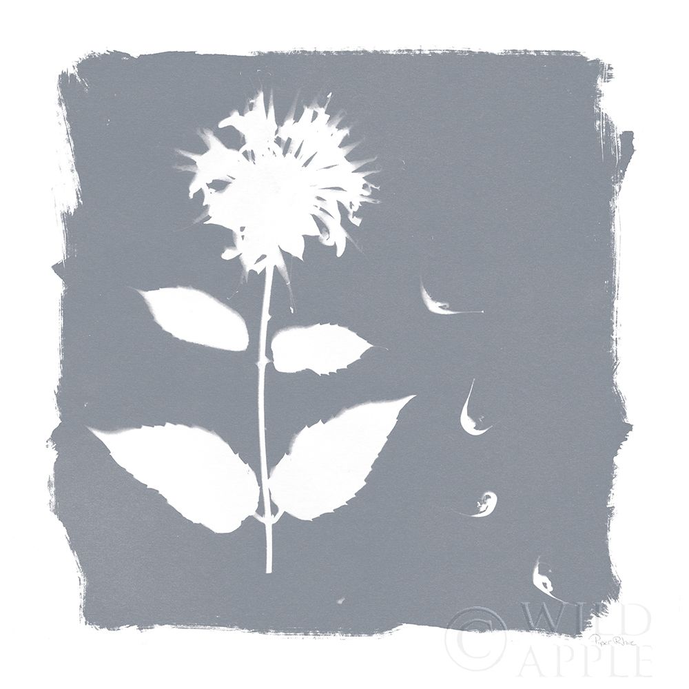 Wall Art Painting id:434941, Name: Nature by the Lake Flowers II Neutral, Artist: Rhue, Piper