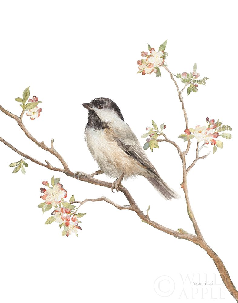Art Print: Black Capped Chickadee v2 on White