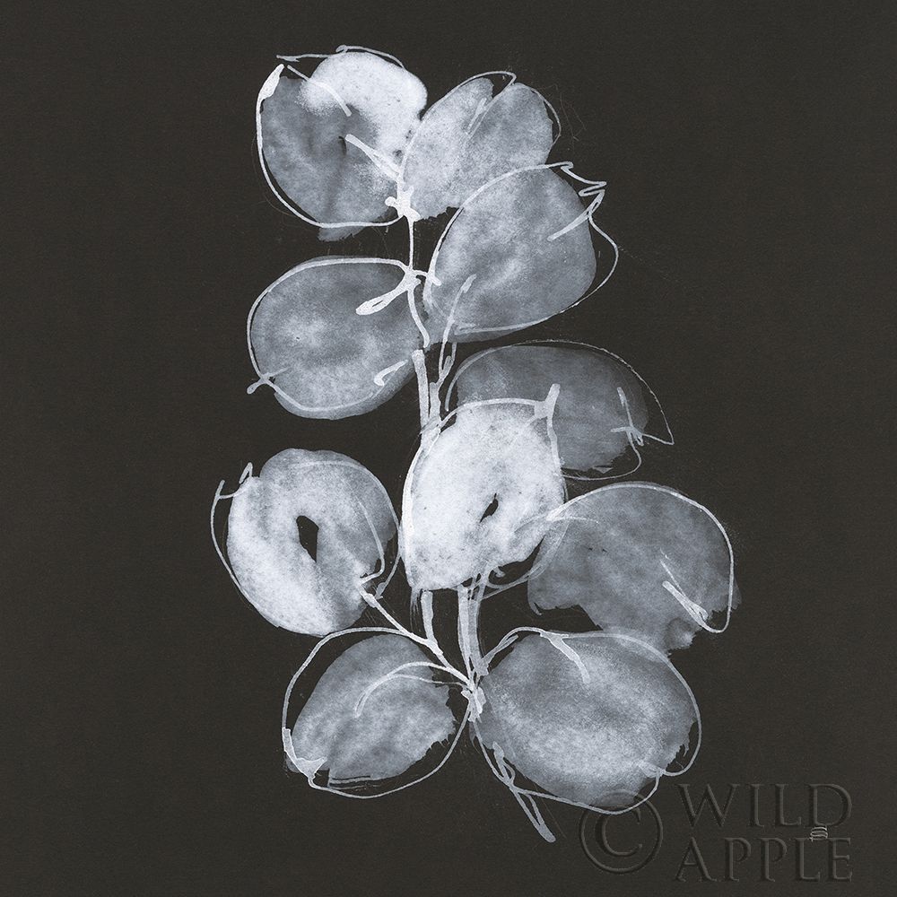 Wall art: White Eucalyptus I, by Paschke, Chris