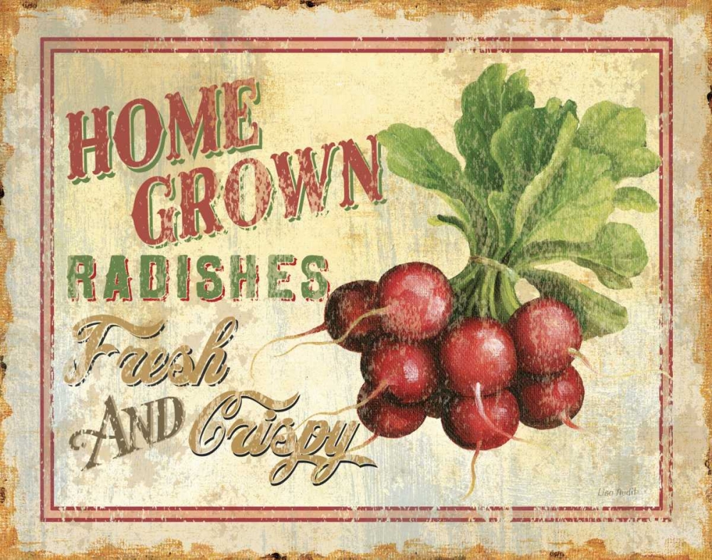 Wall art: Fresh IV, by Audit, Lisa