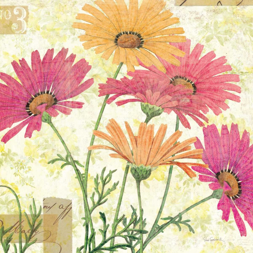 Wall Art Painting id:18379, Name: Reminiscence I, Artist: Schlabach, Sue