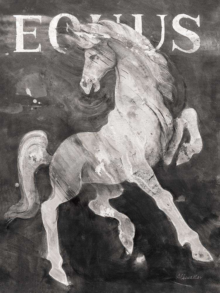 Wall Art Painting id:546721, Name: Equus Stallion BW, Artist: Hristova, Albena