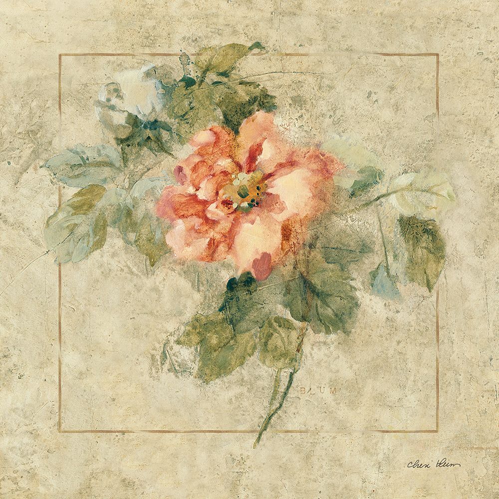 Wall Art Painting id:657565, Name: Provence Rose II, Artist: Blum, Cheri