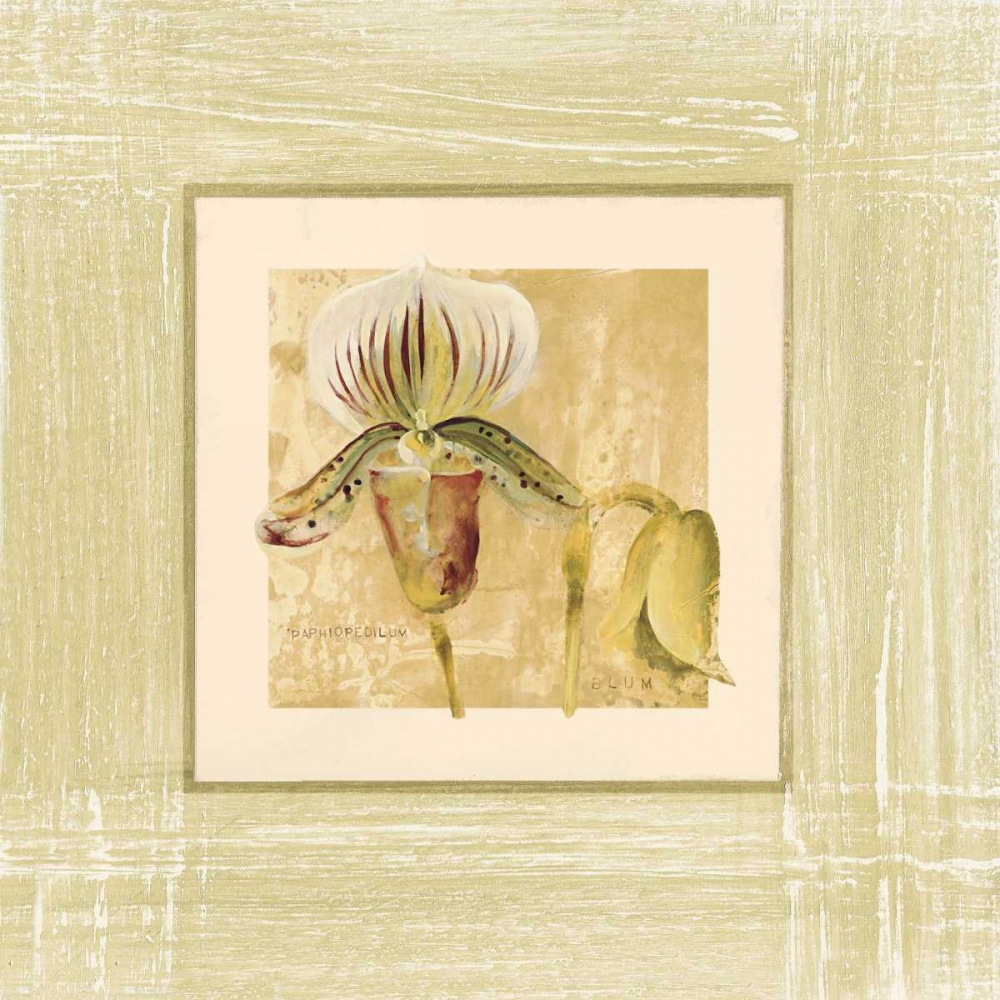 Wall Art Painting id:156308, Name: Exotic Floral II, Artist: Blum, Cheri