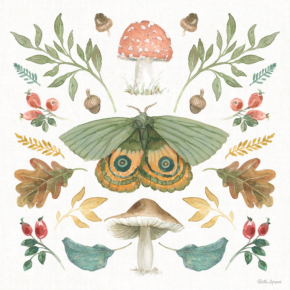 Wall Art Painting id:539566, Name: Forest Finds III, Artist: Grove, Beth