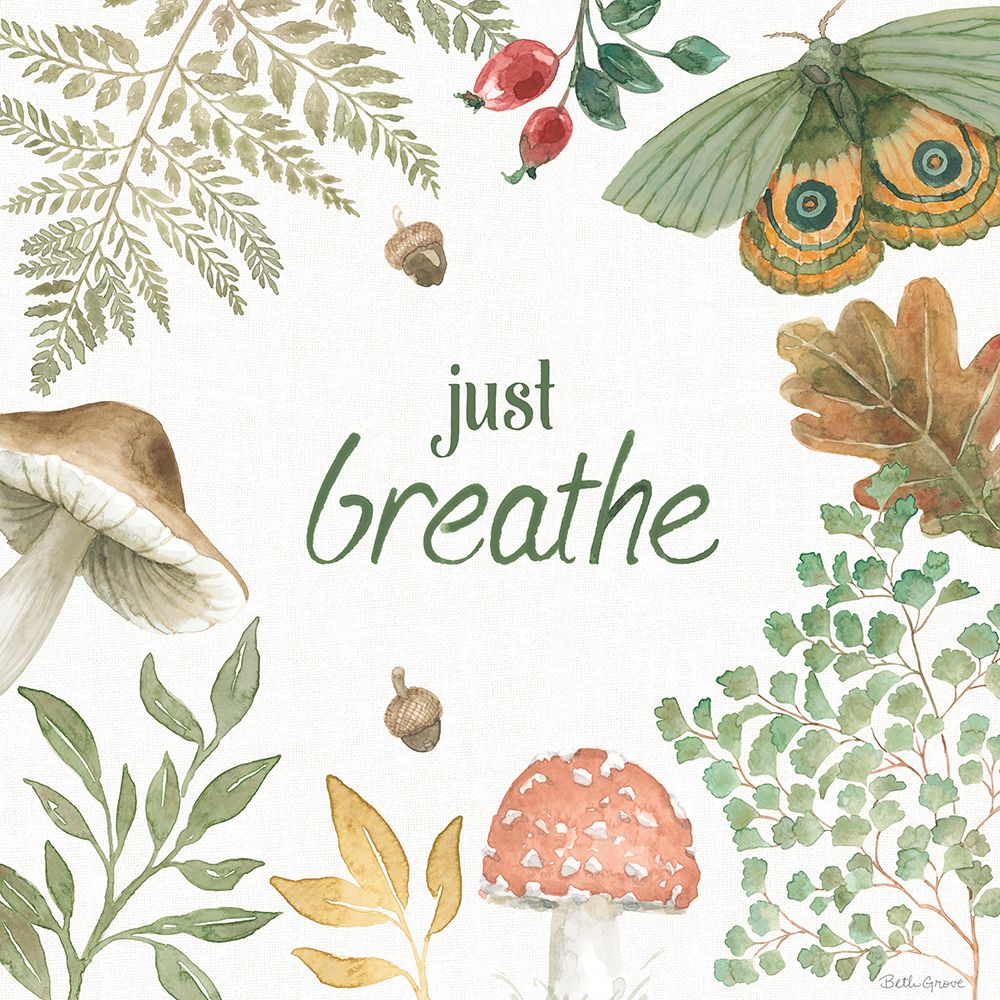 Wall Art Painting id:539567, Name: Forest Finds V, Artist: Grove, Beth