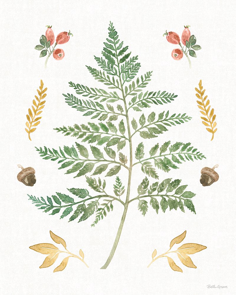 Wall Art Painting id:539571, Name: Forest Finds IX, Artist: Grove, Beth