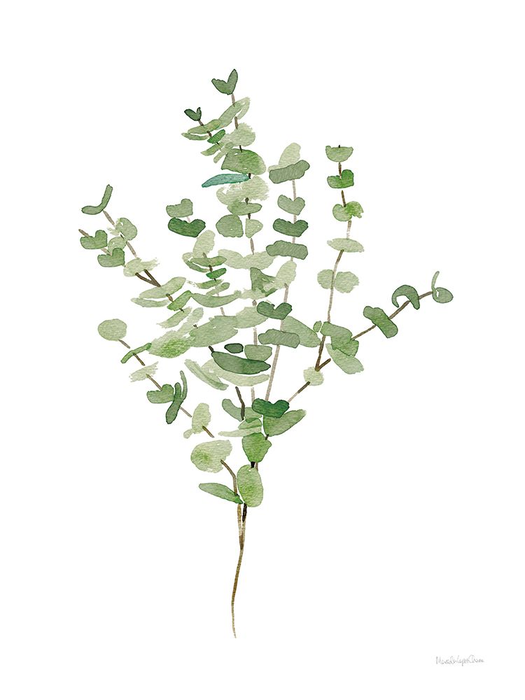 Art Print: Gentle Eucalyptus