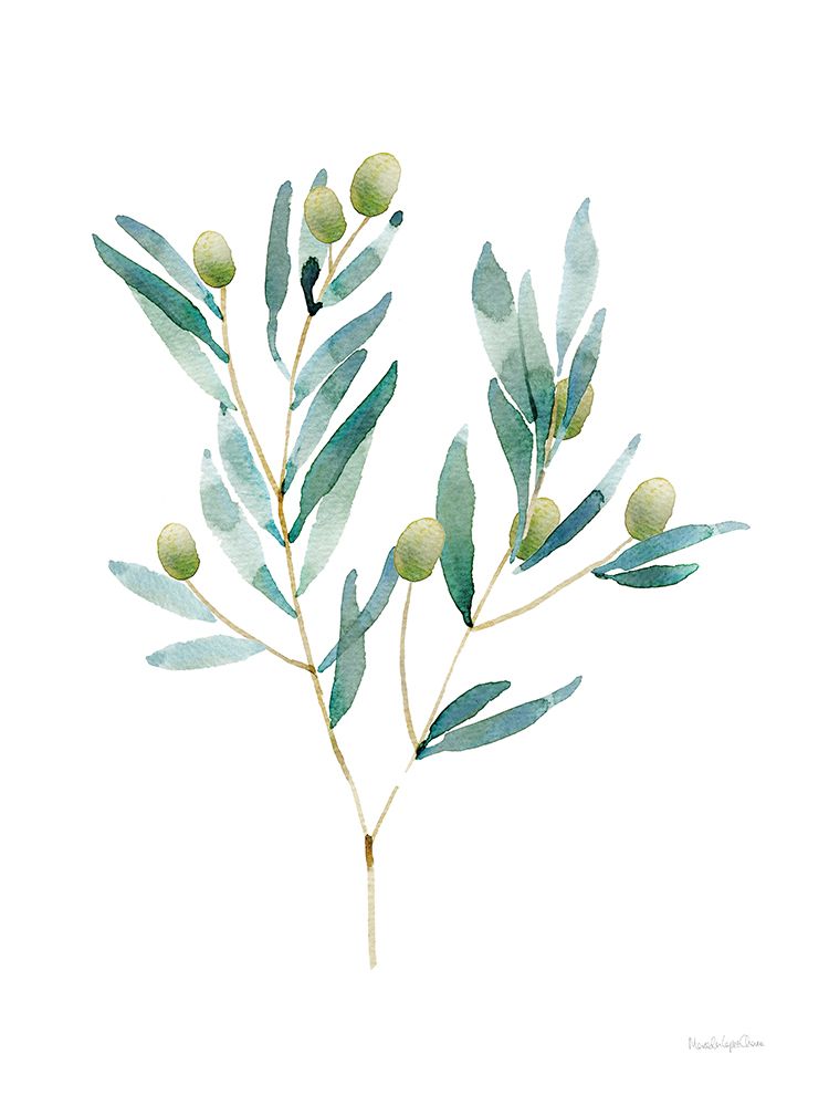 Art Print: Gentle Olive Branch