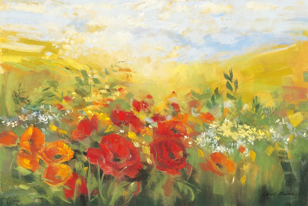 Wall Art Painting id:580446, Name: Oriental Poppy Field III, Artist: Rowan, Carol