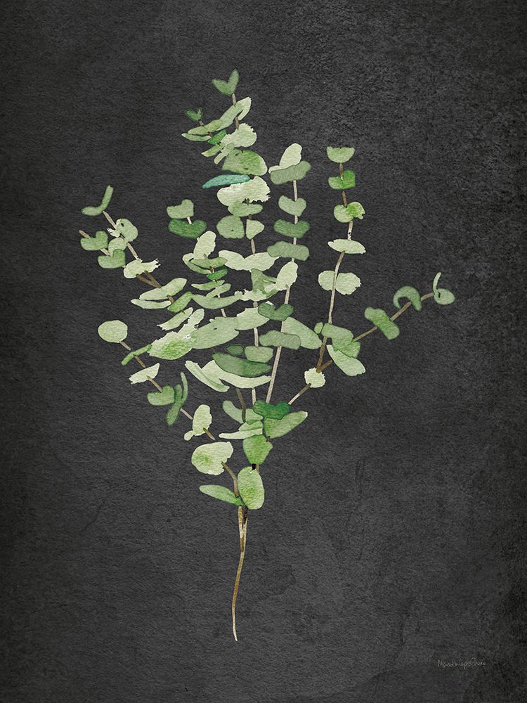 Art Print: Gentle Eucalyptus on Black