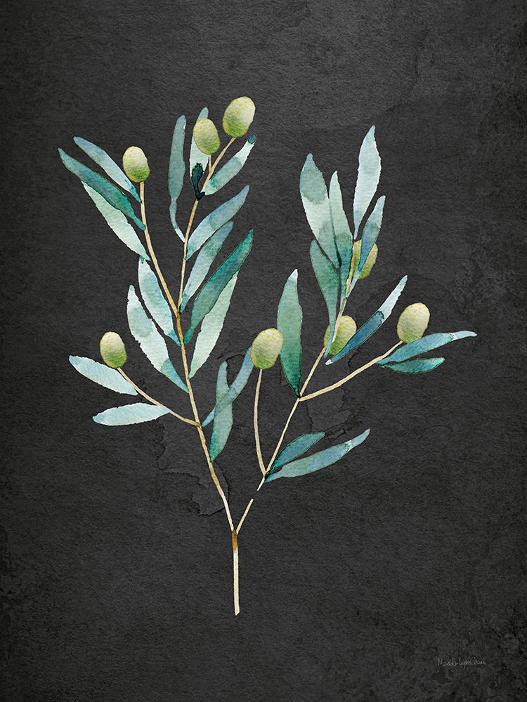 Art Print: Gentle Olive Branch on Black