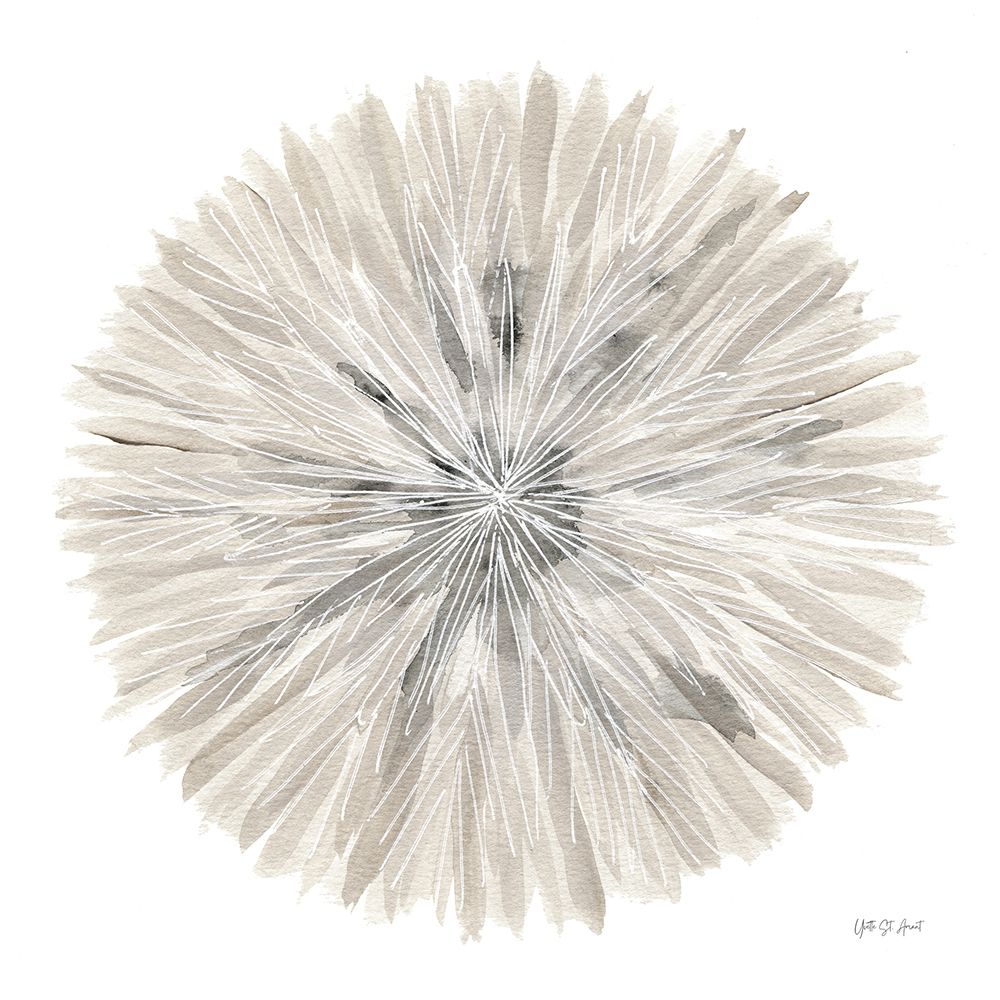 Wall Art Painting id:657657, Name: Natures Pinwheel I, Artist: St. Amant, Yvette