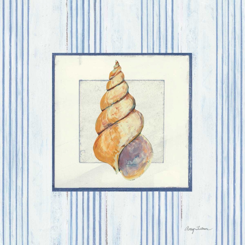 Wall Art Painting id:32592, Name: Sanibel Shell II, Artist: Tillmon, Avery
