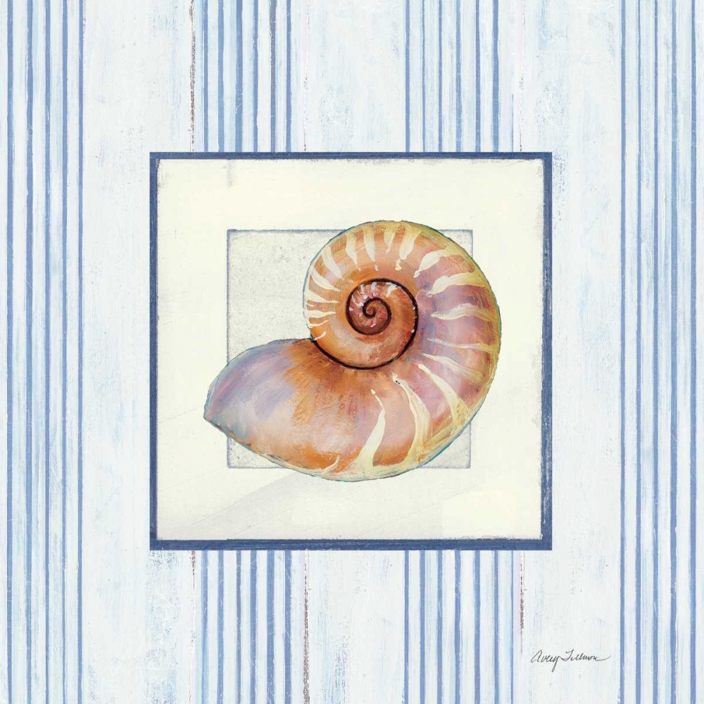 Wall Art Painting id:32593, Name: Sanibel Shell III, Artist: Tillmon, Avery