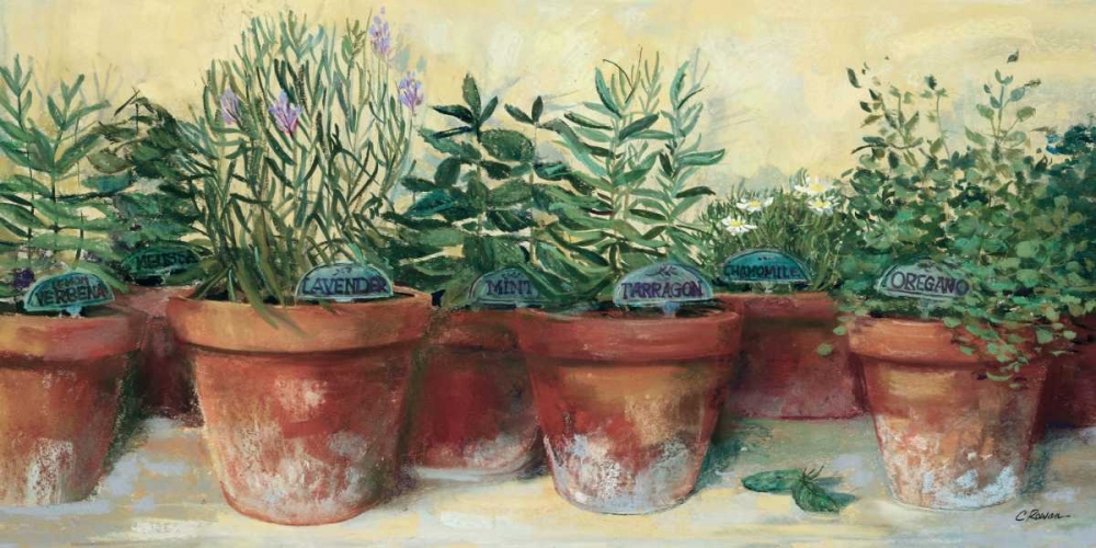 Art Print: Potted Herbs I