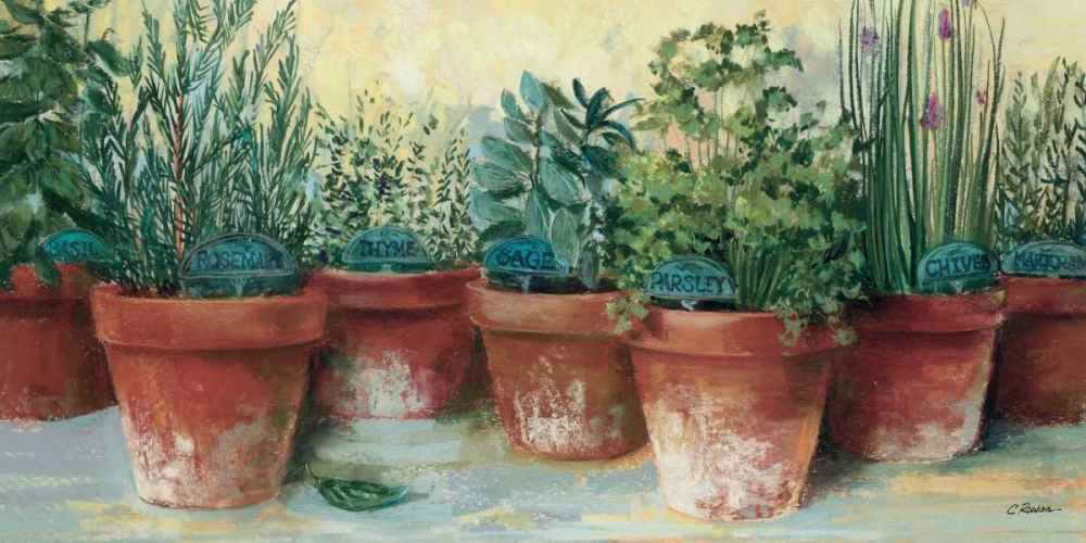 Art Print: Potted Herbs II