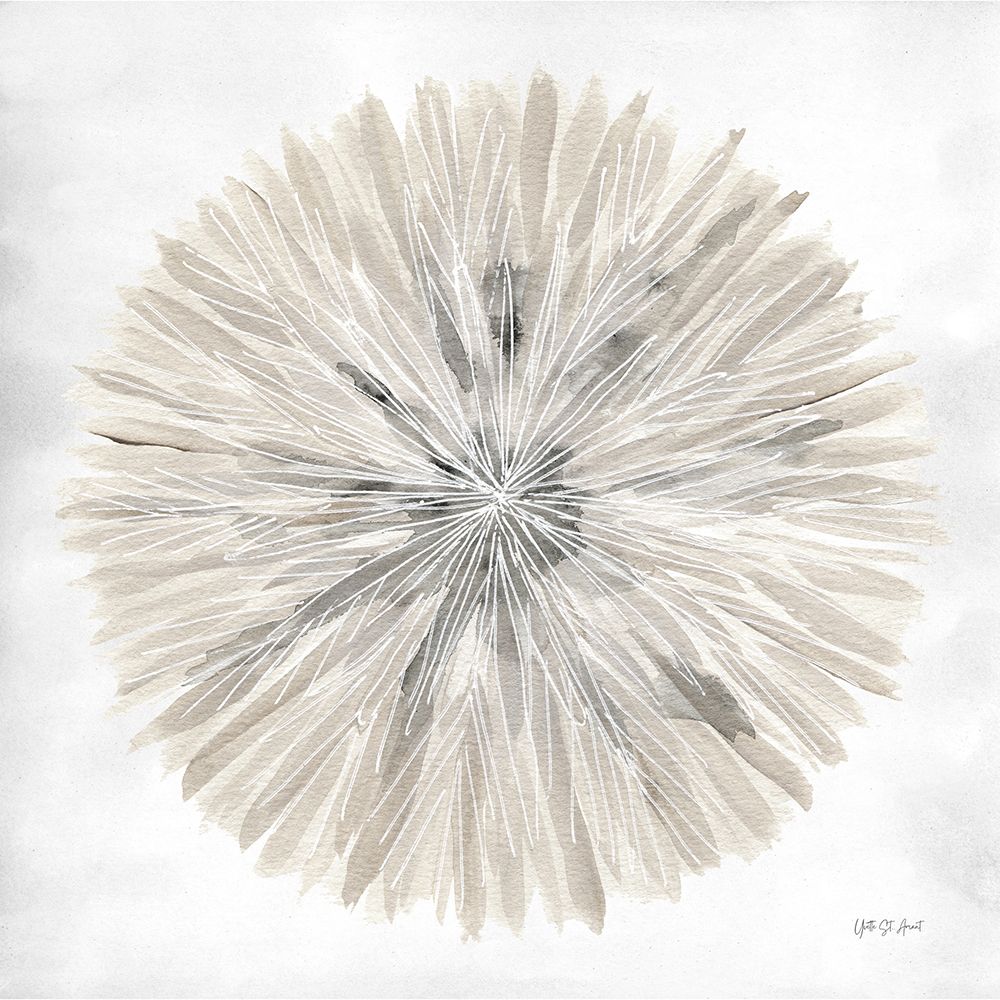 Art Print: Natures Pinwheel I Texture