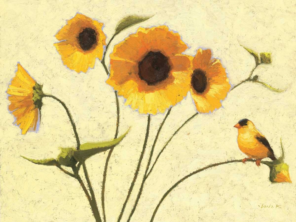 Wall art: Sunny Flowers IV, by Novak, Shirley