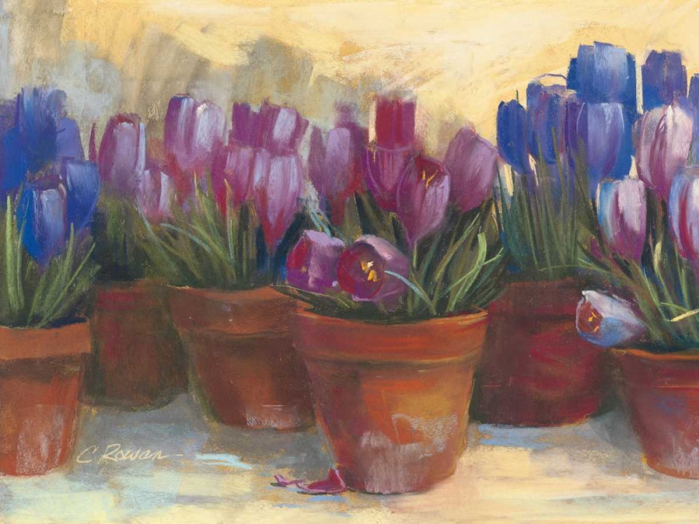 Wall Art Painting id:34063, Name: Spring Crocus, Artist: Rowan, Carol