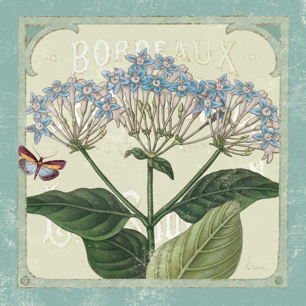 Wall Art Painting id:17752, Name: Parisian Flowers I, Artist: Schlabach, Sue