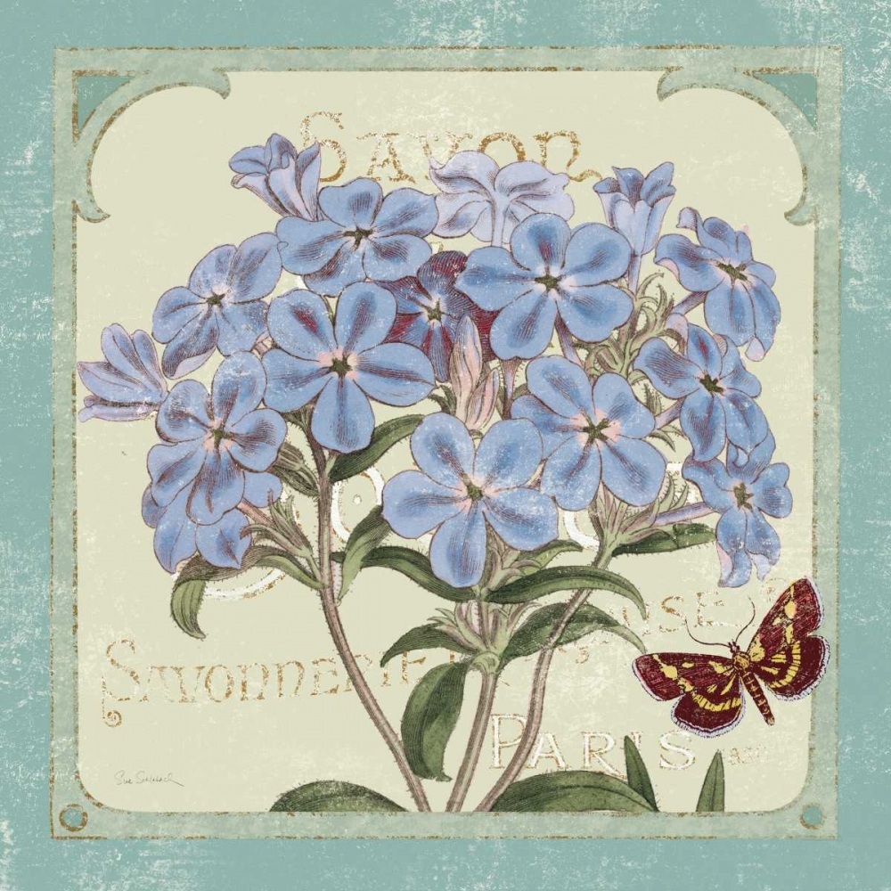 Wall Art Painting id:17673, Name: Parisian Flowers II, Artist: Schlabach, Sue