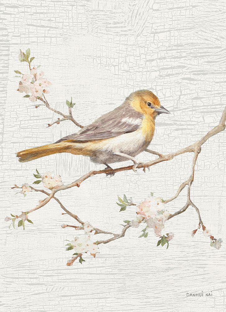 Wall Art Painting id:759607, Name: Northern Oriole Flipped Vintage Crop, Artist: Nai, Danhui