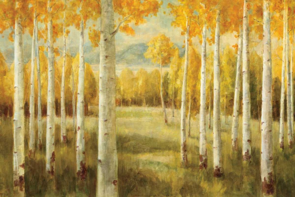 Art Print: Aspens