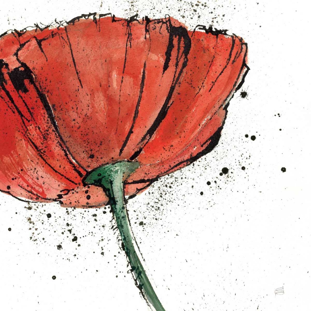 Wall Art Painting id:17873, Name: Not a California Poppy I on White, Artist: Paschke, Chris