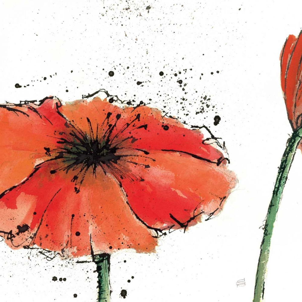 Wall Art Painting id:17741, Name: Not a California Poppy III on White, Artist: Paschke, Chris