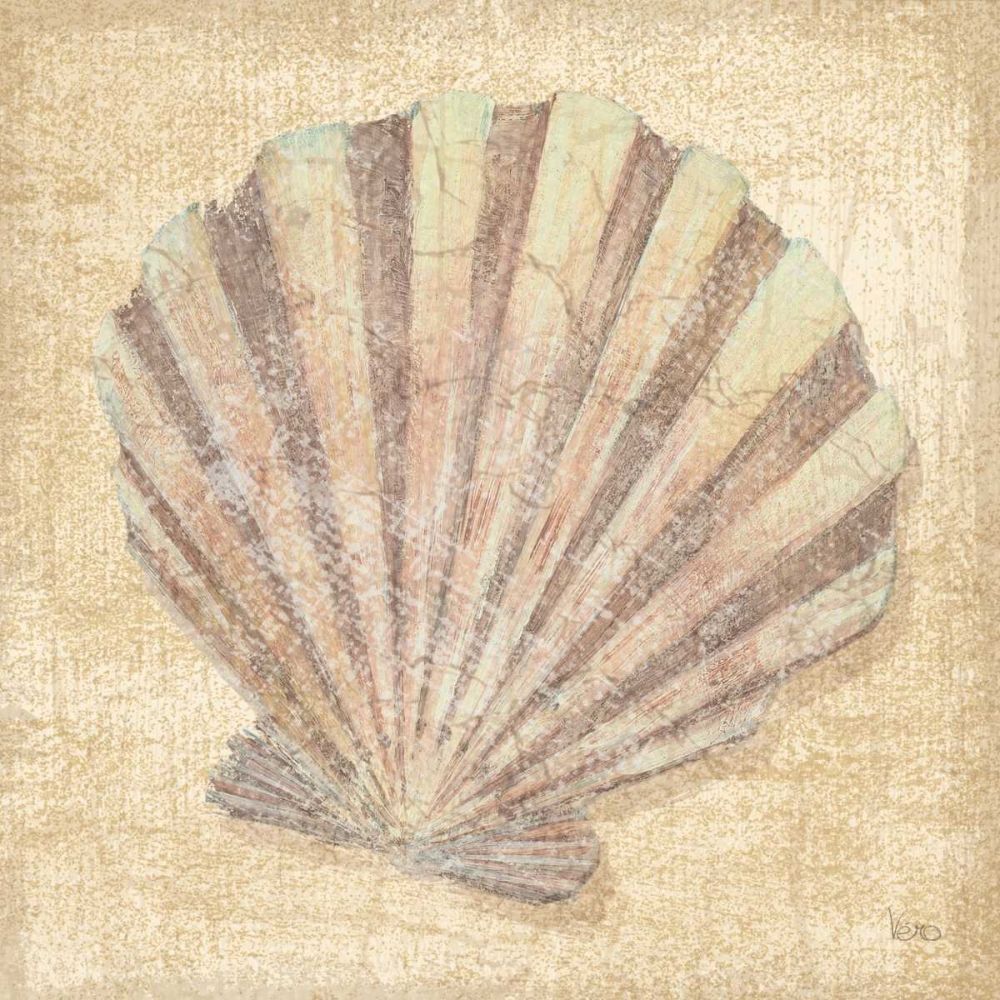 Wall Art Painting id:33358, Name: Tropical Island Shell II, Artist: Charron, Veronique