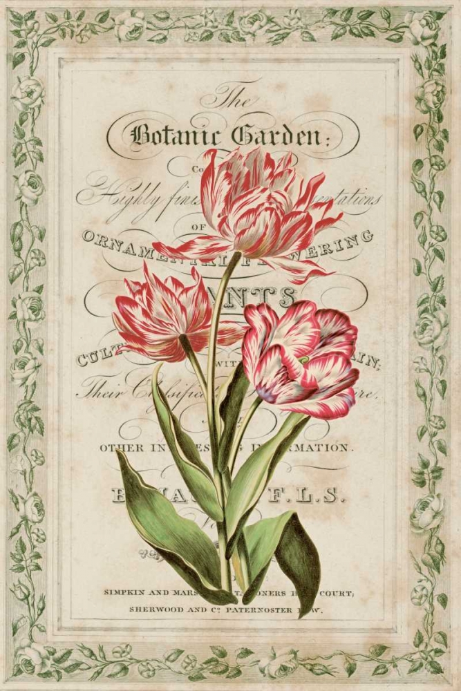 Wall Art Painting id:20460, Name: Botanic Garden, Artist: Alexander, Zachary