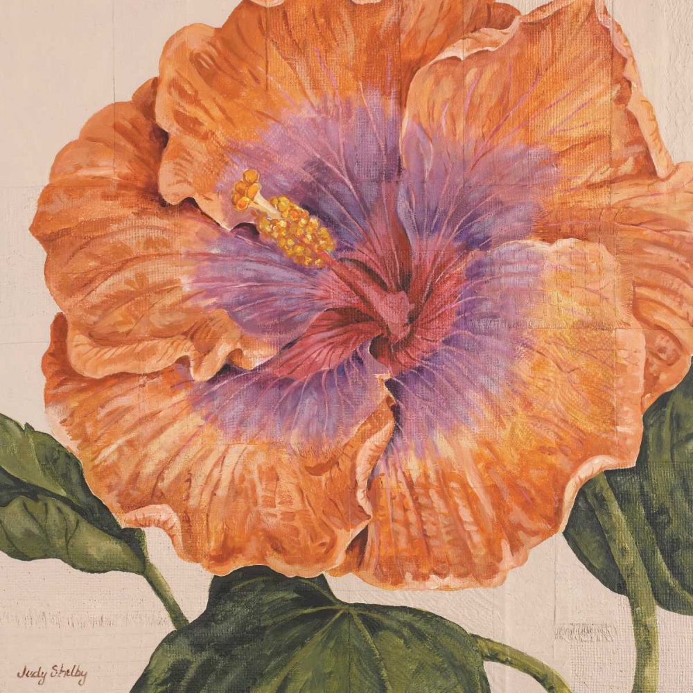 Wall Art Painting id:20463, Name: Island Hibiscus II, Artist: Shelby, Judy