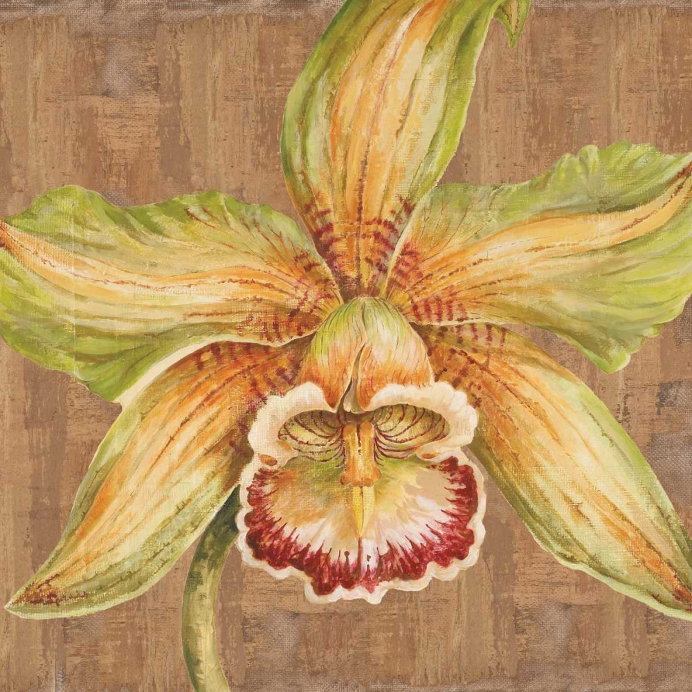 Wall Art Painting id:20487, Name: Aloha Beauty I, Artist: Shelby, Judy