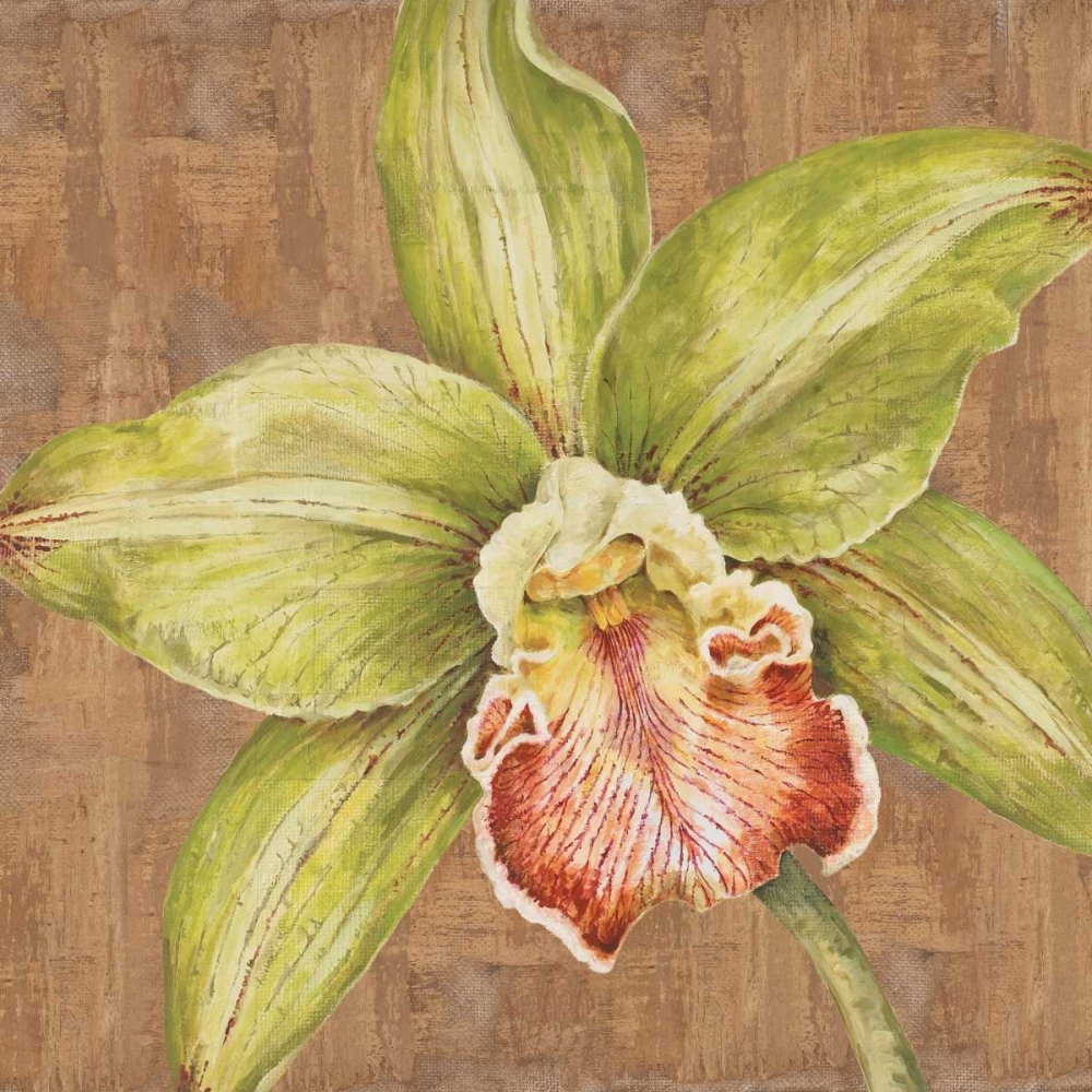 Wall Art Painting id:20488, Name: Aloha Beauty II, Artist: Shelby, Judy