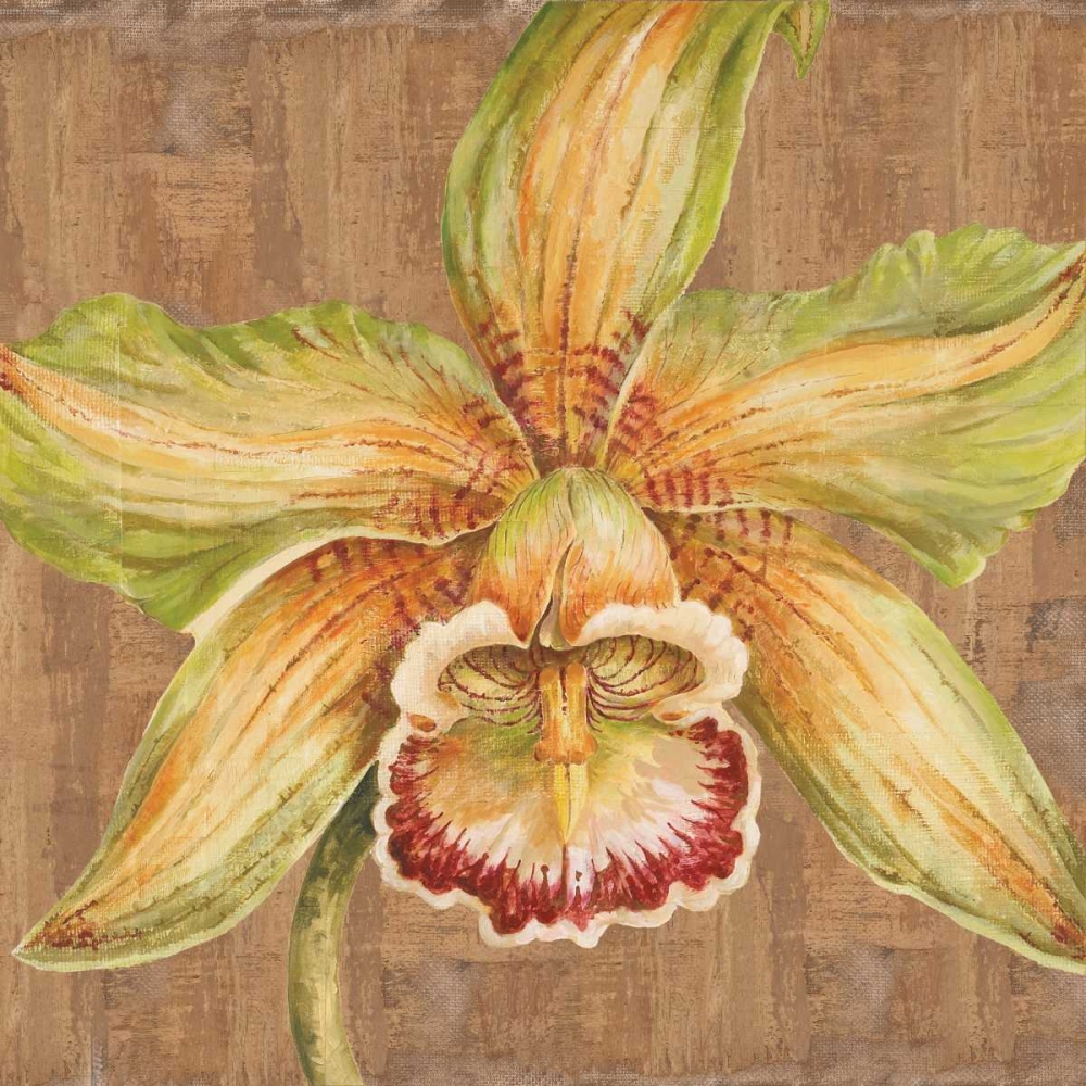Wall Art Painting id:20552, Name: Aloha Beauty Petites A, Artist: Shelby, Judy